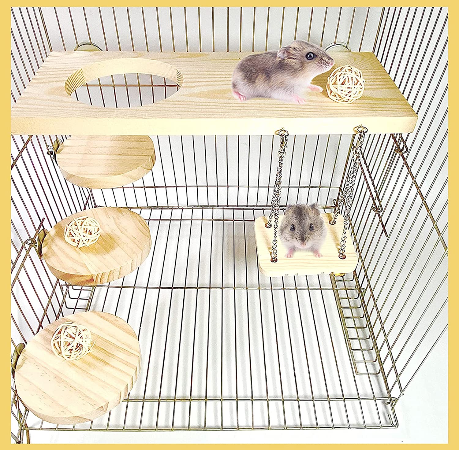 Amazon | timiland 4点セット ペット用品 小動物 長方形 丸い形 穴を